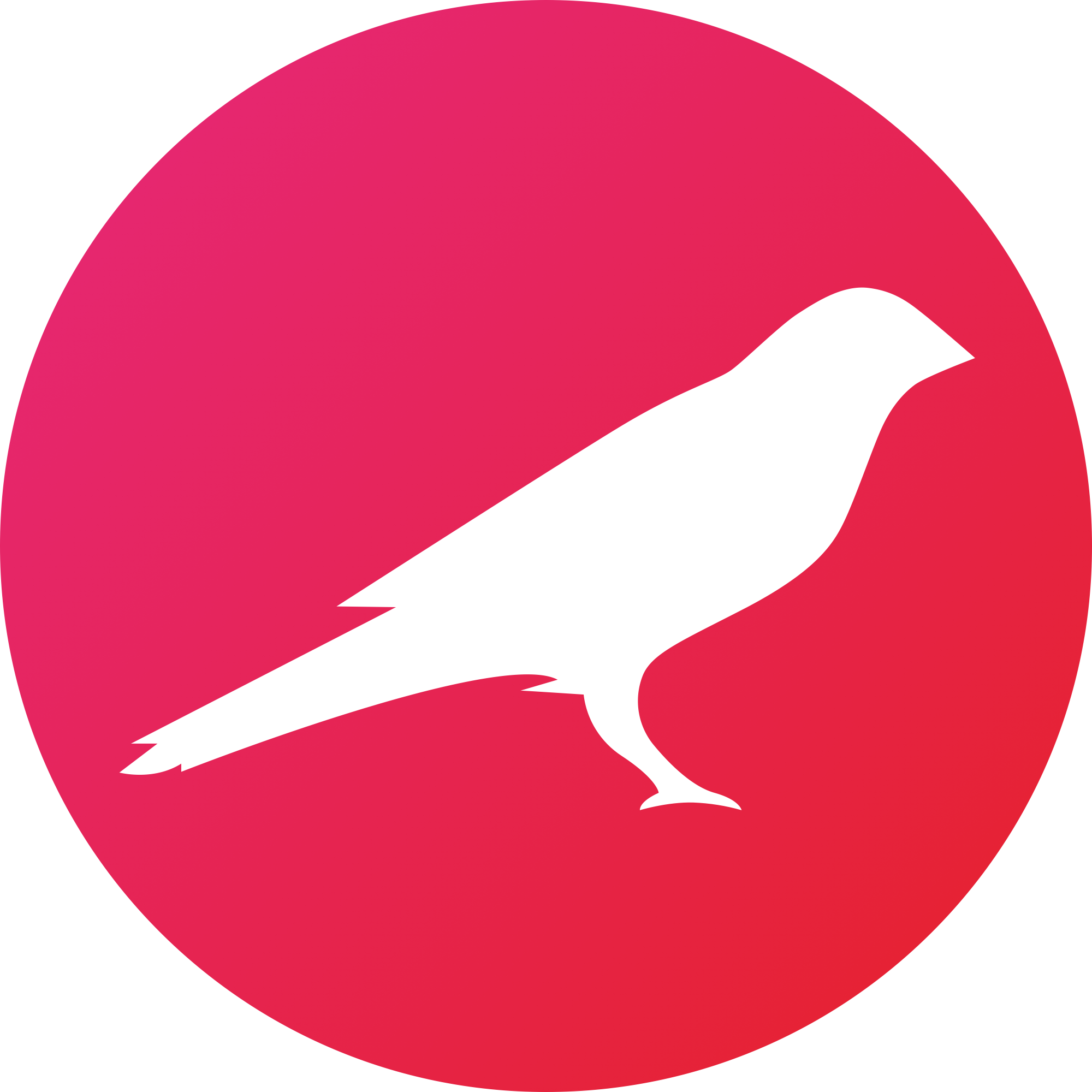 Kusama logo